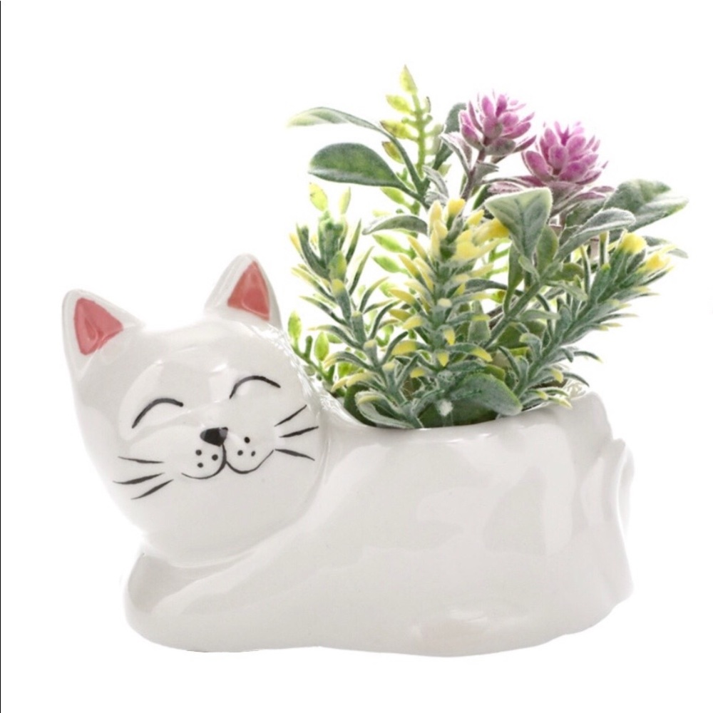 Small Ceramic Animal Planter ~ Cara The Cat